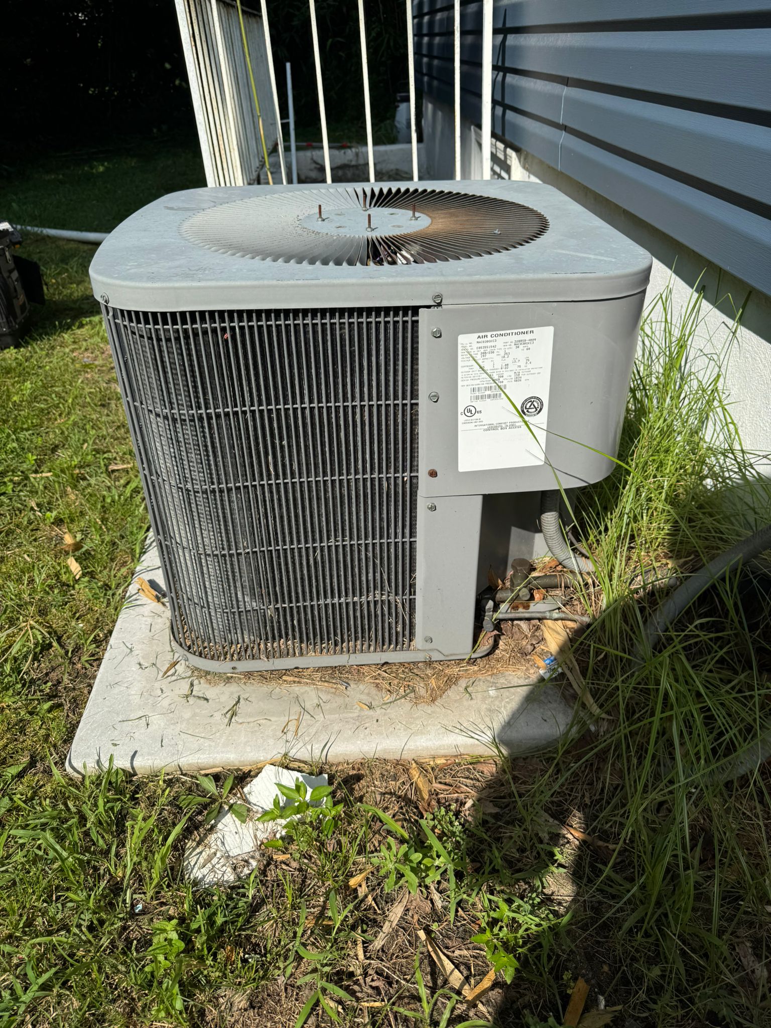 whatsapp image 2025 08 08 at 03.15.40