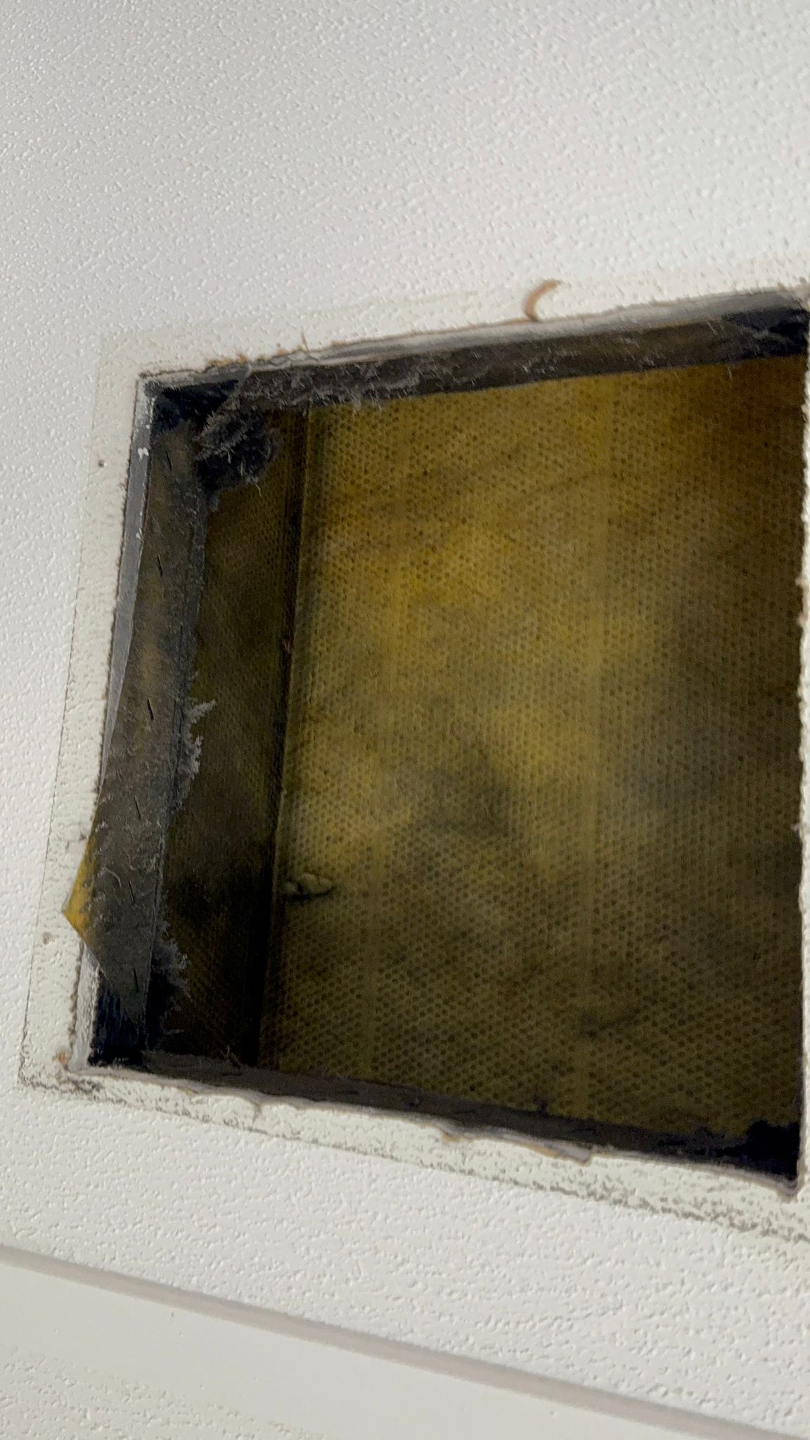 whatsapp image 2025 08 10 at 13.13.48